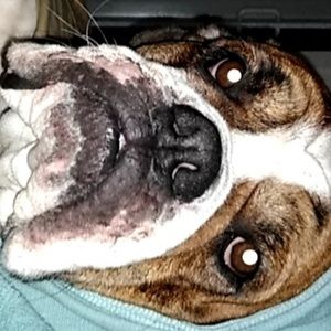 Meet your Posher, Jamie